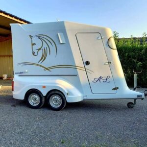 Van Barbot Turbovan 2013